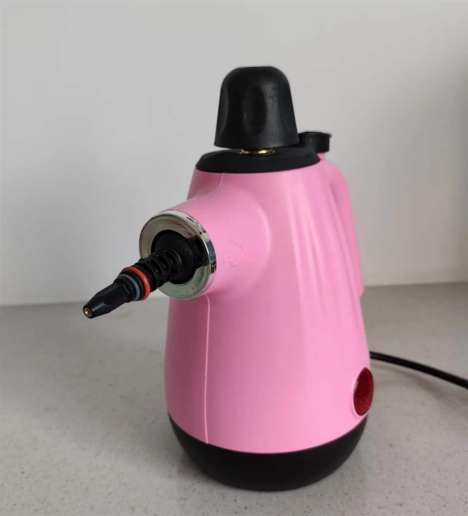 Large Capacity Steam Cleaner